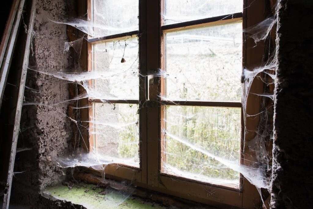 What causes cobwebs in your house?